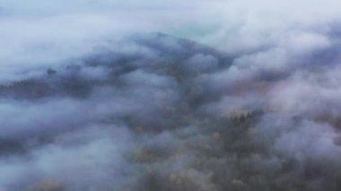 Renkli sonbahar orman uçan aşağı üst.