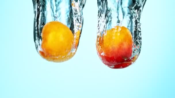 Super Slow Motion Shot of Fresh Apricots with Splashing Water — стокове відео