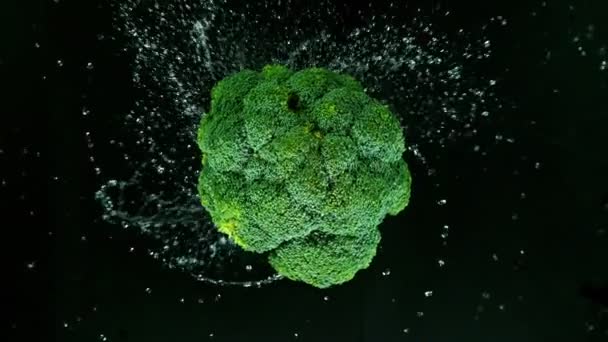 Su damlaları ile dönen taze brokoli, süper yavaş çekim. — Stok video