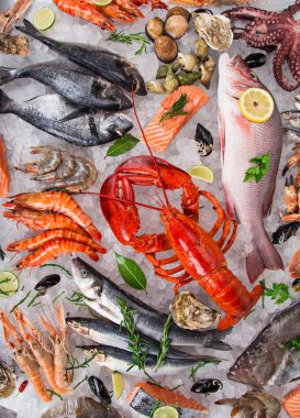 Ezilmiş buzda servis edilen taze deniz ürünleri.