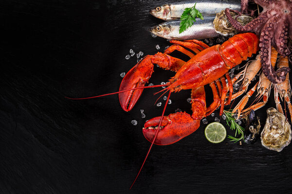 Fresh tasty seafood served on black stone table.
