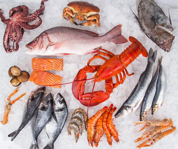 Friss, ízletes tengeri ételek zúzott jégen — Stock Fotó