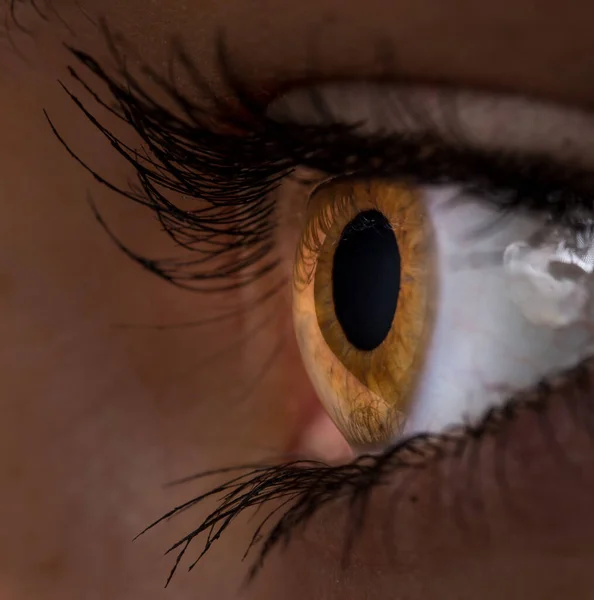 Woman eye with long eyelashes. — Stock Photo, Image