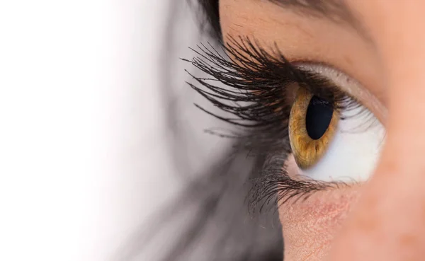 Woman eye with long eyelashes. — Stock Photo, Image