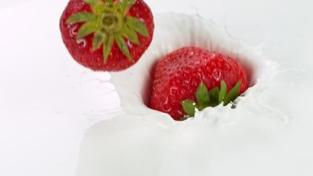 Super slow motion of strawberries falling into cream — Stock Video