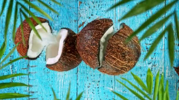 Mouvement lent des éclaboussures d'eau sur la noix de coco — Video