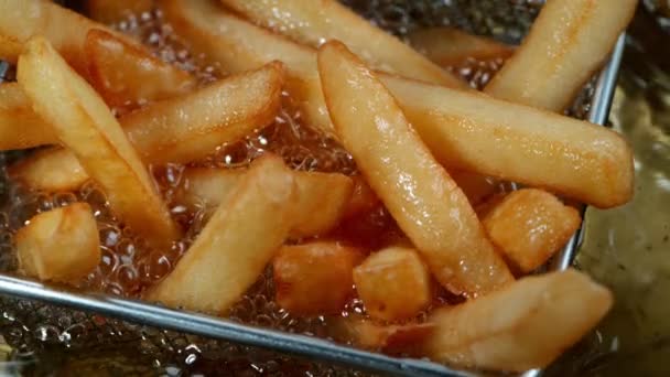 Movimento lento de cozinhar batatas fritas na fritadeira — Vídeo de Stock