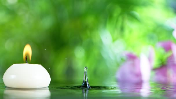 Super langzame beweging van druppelende waterdruppels met lotusbloem — Stockvideo