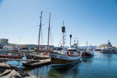 Husavik, İzlanda 'nın kuzey kıyısında Skjalfandi Körfezi kıyısında..
