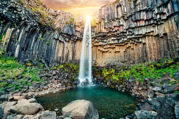 Svartifoss vattenfall. Skaftafell nationalpark, Vatnajokull glaciär, Island, Europa. — Stockfoto