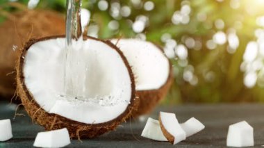 Yavaş Su Hareketi Hindistan cevizine sıçrıyor