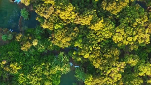 호수와 폭포가 있는 아름다운 산속 숲 — 비디오