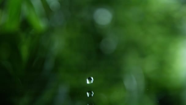 Foglie verdi fresche con gocce d'acqua sopra l'acqua, rilassamento con acqua ondulazione gocce concetto, rallentatore — Video Stock