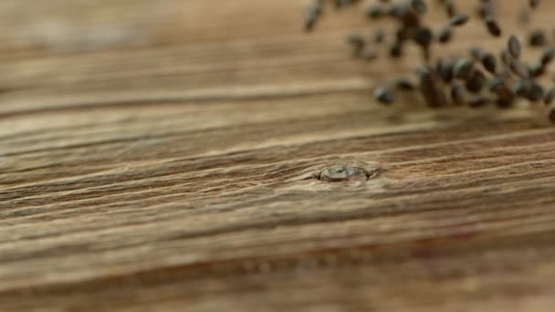 Dried lentil falling and rolling on a table. Shot with high speed cinematic camera. Slow Motion. — Stock Video