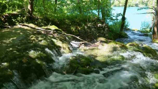 Prachtig bergbos meer met watervallen. — Stockvideo