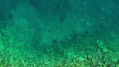 Deniz suyu dokusunun yukarıdan aşağı görüntüsü.