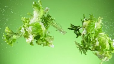 Uçan Taze Marul 'un Süper Yavaş Çekimi 1000fps.