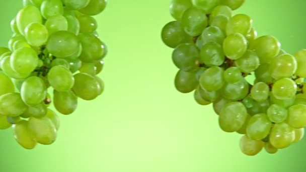 Super Slow Motion Shot świeżych winogron kolizji z wodą Splashing — Wideo stockowe