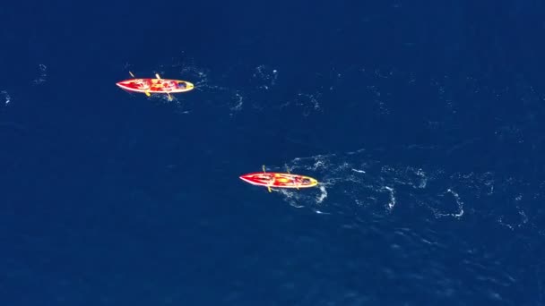 Flygfoto av kajakpaddlare som paddlar framåt. — Stockvideo