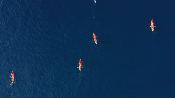 Aerial shot of kayakers paddling forwards. — Stock Video
