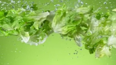 Uçan Taze Marul 'un Süper Yavaş Çekimi 1000fps.