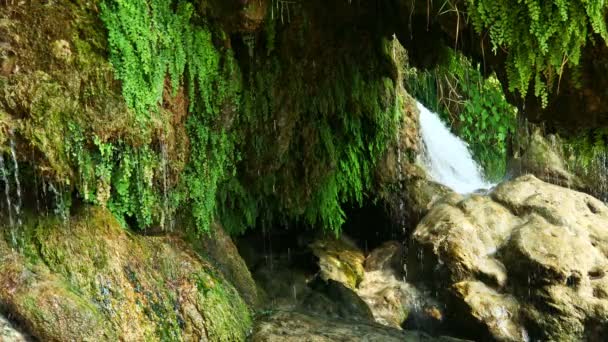 Lindo lago de floresta de montanha com cachoeiras . — Vídeo de Stock
