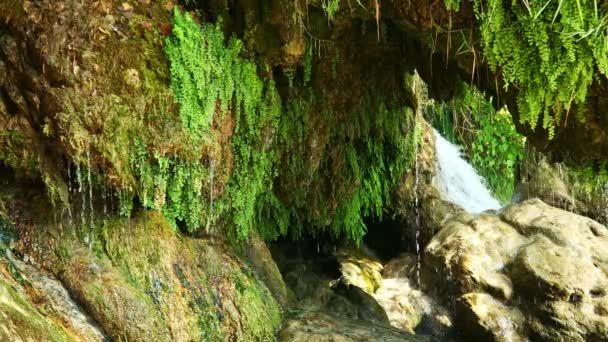 Vacker fjällskog sjö med vattenfall. — Stockvideo