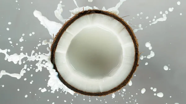 코코넛에 가루받이를 하는 물의 움직임을 동결하라 — 스톡 사진