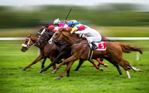 At yarışları jokeylerle dolu.. — Stok fotoğraf