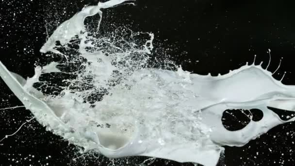 Super Slow Motion Shot of Milk Splash со скоростью 1000 кадров в секунду — стоковое видео