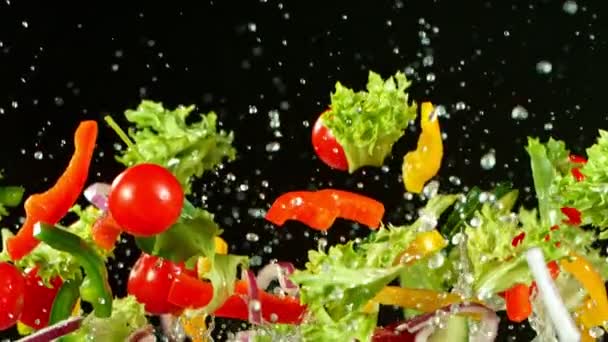 Super langsom bevægelse skud af flyvende frisk salat på 1000 fps. – Stock-video