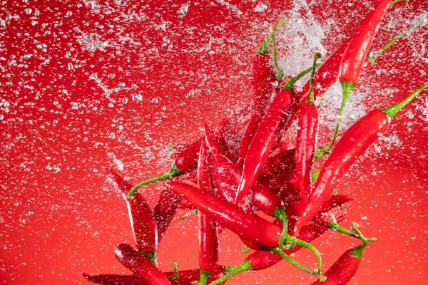 Verse rijpe rode chili pepers vliegen op een rode achtergrond. — Stockfoto