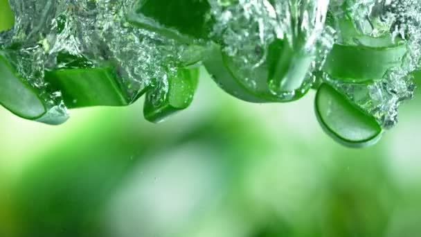 Super Slow Motion Shot of Aloe Vera Cięcia spadające do wody na zielonym tle — Wideo stockowe