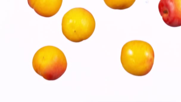 Čerstvé meruňky pádu s vodou splash v Super pomalý pohyb. — Stock video