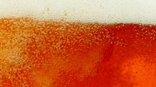 Macro shot van bubbels stijgen in een glas met bier — Stockvideo