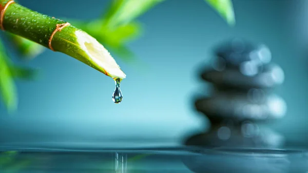 新鲜的绿色竹子，水滴在水面上 — 图库照片