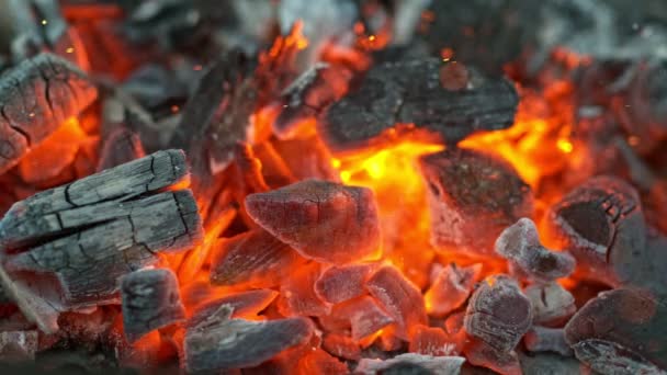 篝火中的黑炭，超级慢动作 — 图库视频影像
