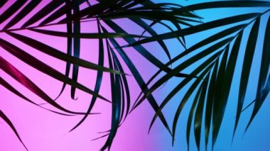 Palm Leaves 'in Siluet Gölgesi Doğal Rüzgâr Hareketi Neon Arkaplanda İzole Edildi.
