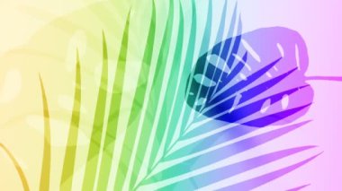 Palm Leaves 'in Siluet Gölgesi Doğal Rüzgâr Hareketi Neon Arkaplanda İzole Edildi.