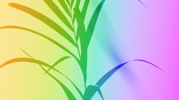 Силуэт Тень пальмы движется естественным ветром на неоновом фоне. — стоковое видео
