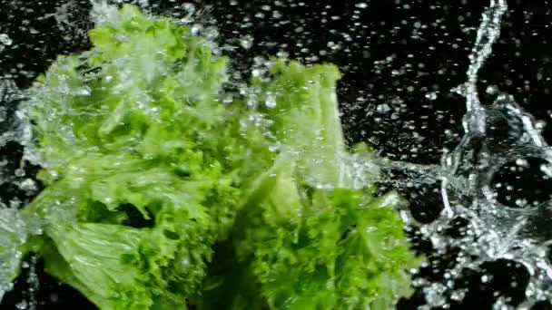 Super Slow Motion Shot of Flying Fresh Salad at 1000 fps. — стоковое видео