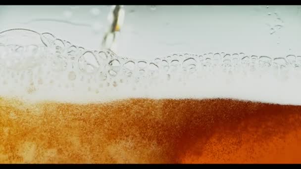 Макро-шот пузырей, растущих в стакане с пивом — стоковое видео