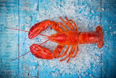 Eski ahşap masada servis edilen taze deniz ürünleri..