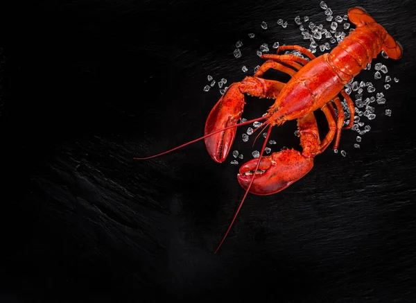 Makanan laut segar yang lezat disajikan di meja batu hitam. — Stok Foto