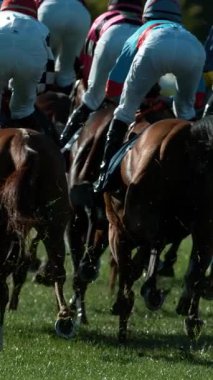 Yarış atları dört nala koşar Kazanan Hat 'a birlikte, süper yavaş çekimde