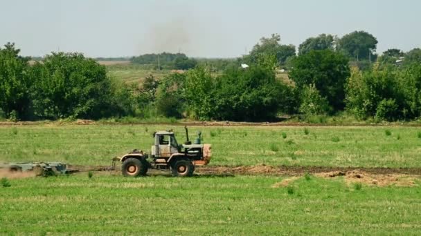 Traktor Uprawiający Pole Jesienią Koncepcja Rolnictwa — Wideo stockowe