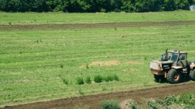 Traktör Güneşli Sonbahar Günü Sırasında Ekim için Arazi Hazırlanıyor. Tarım Kavramı