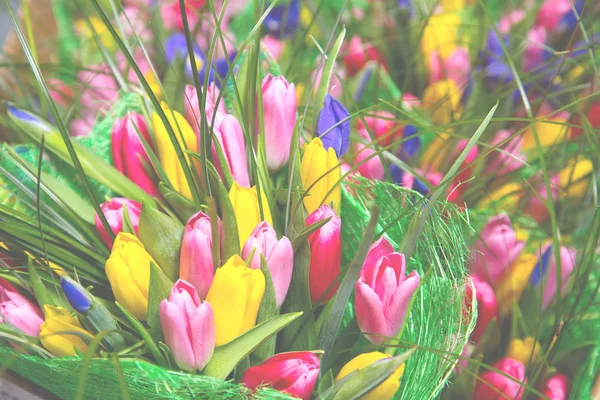 Boeket Verse Kleurrijke Tulpen — Stockfoto