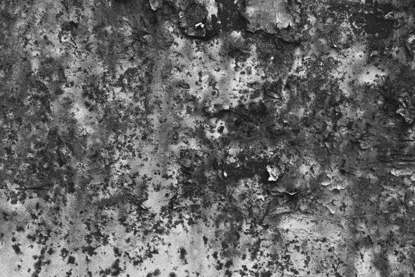 Textuur Van Een Oude Versleten Kras Het Oppervlak Zwarte Witte — Stockfoto