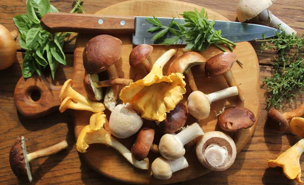 旧木桌上伐板上的森林蘑菇混合 — 图库照片